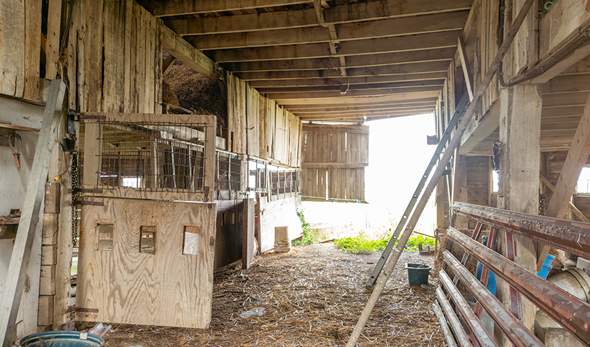 Rudicel-Montgomery Barn, Shelby County