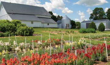 Stine-Anderson Farm